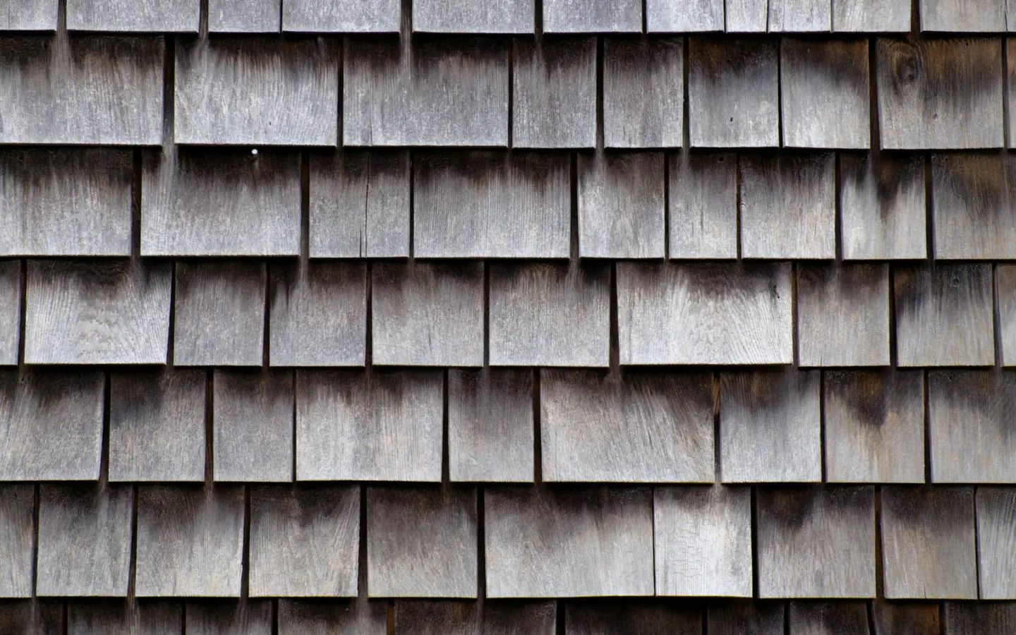 Demo photo: an even, intact cedar shake roof.